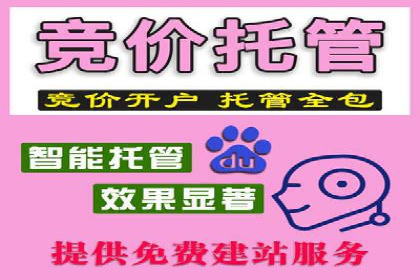 成功案例：信息流代运营助力品牌成长